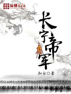 长宁帝军章节列表