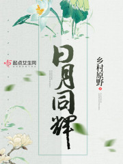 日月同辉章节列表