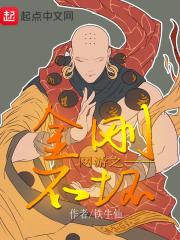 网游之金刚不坏章节列表