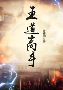 王道高手章节列表