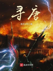 寻唐章节列表