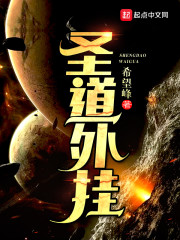 圣道外挂章节列表