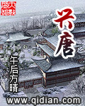 兴唐章节列表