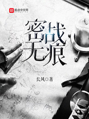 密战无痕章节列表