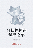 名侦探柯南琴酒之弟章节列表