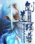 剑道独尊章节列表
