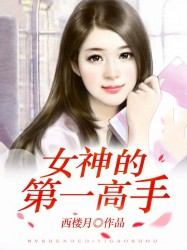 女神的第一高手章节列表