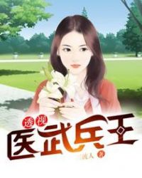 透视医武兵王章节列表