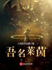 吾名莱茵章节列表