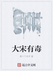 大宋有毒章节列表