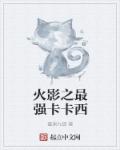 火影之最强卡卡西章节列表
