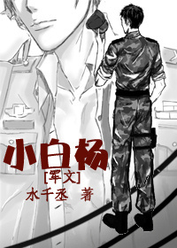小白杨章节列表