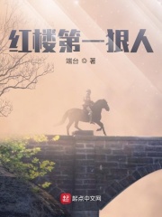 红楼第一狠人章节列表