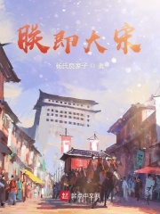 朕即大宋章节列表