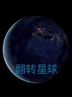 翻转星球章节列表