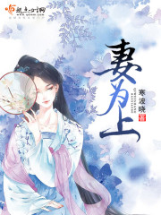 妻为上章节列表