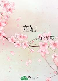 宠妃章节列表