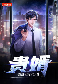 贵婿章节列表