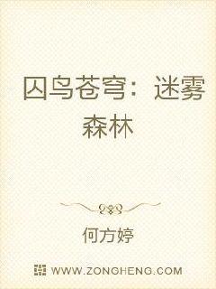 囚鸟苍穹：迷雾森林章节列表