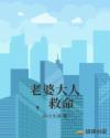 老婆大人，救命章节列表