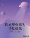 我刘华强愿为华夏赴死章节列表