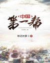 中国第一帮章节列表