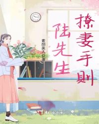 陆先生撩妻手则章节列表