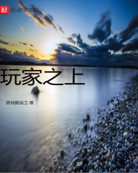 玩家之上章节列表