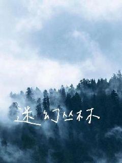 迷幻丛林章节列表