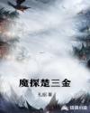 魔探楚三金章节列表