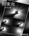 那束光章节列表