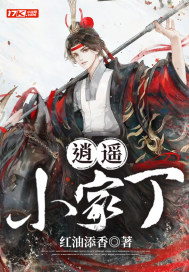 逍遥小家丁章节列表