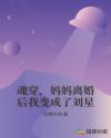 魂穿，妈妈离婚后我变成了刘星章节列表