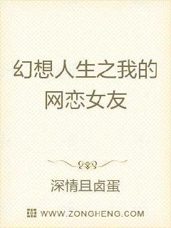 幻想人生之我的网恋女友章节列表