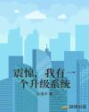 震惊，我有一个升级系统章节列表