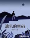 遗失的密码章节列表
