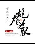 穿成耽美文炮灰女配章节列表