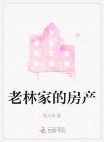 老林家的房产章节列表