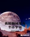 我的脑域里有个小宇宙章节列表