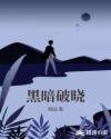 黑暗破晓章节列表