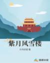 紫月风雪楼章节列表