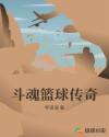 斗魂篮球传奇章节列表