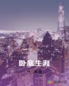 卧底生涯章节列表
