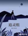 追灵组章节列表