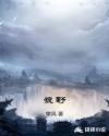 狼野章节列表