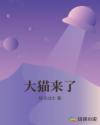 大猫来了章节列表