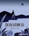 深夜试睡员章节列表