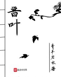 晋叶章节列表