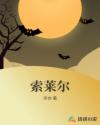 索莱尔章节列表