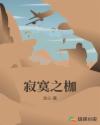 寂寞之枷章节列表
